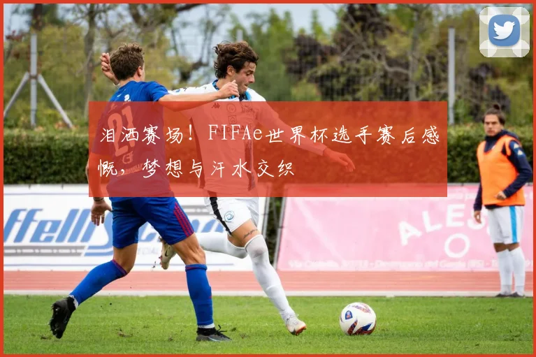 泪洒赛场!FIFAe世界杯选手赛后感慨,梦想与汗水交织